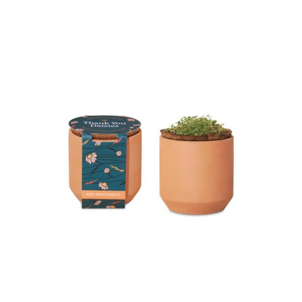 DGW Branded Modern Sprout® Tiny Terracotta Grow Kit